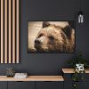88289-519.jpg Brown Bear Snout Framed Canvas