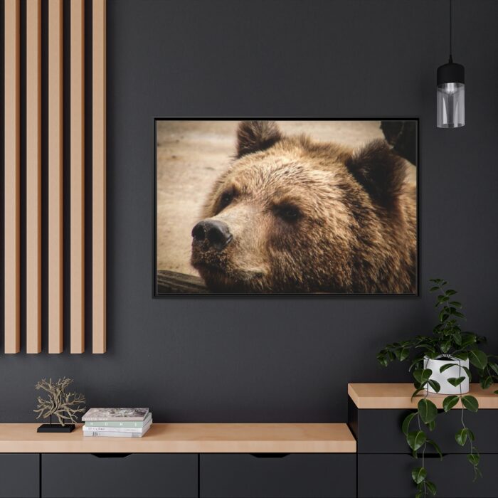 Brown Bear Snout Framed Canvas - Image 5