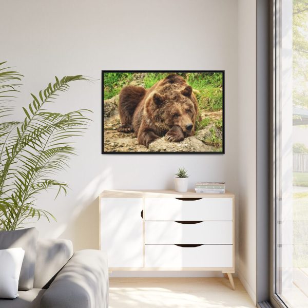 88289-523.jpg Brown Bear Wild Framed Canvas
