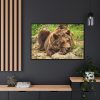 88289-524.jpg Brown Bear Wild Framed Canvas