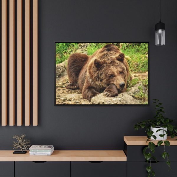 88289-524.jpg Brown Bear Wild Framed Canvas