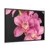 88289-525.jpg Cymbidium Hybrid Orchid Framed Canvas