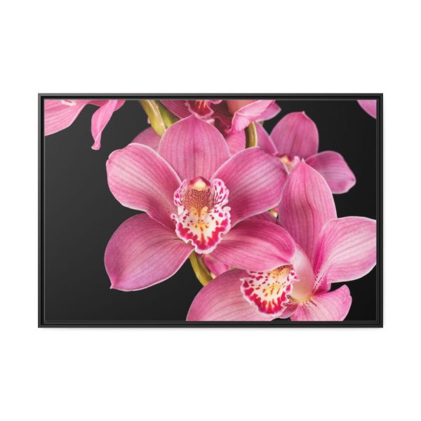88289-526.jpg Cymbidium Hybrid Orchid Framed Canvas