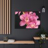 88289-529.jpg Cymbidium Hybrid Orchid Framed Canvas