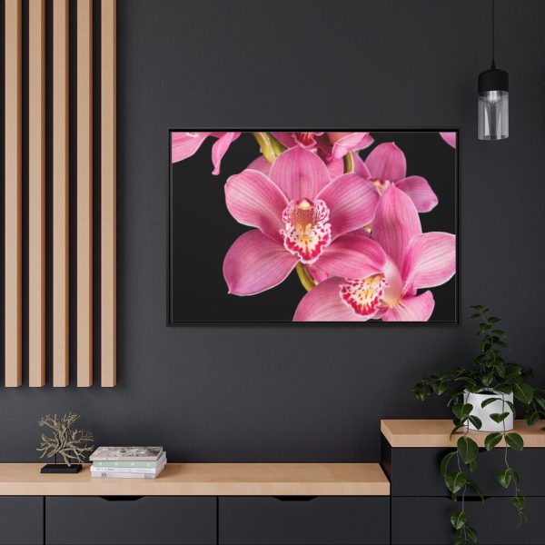 88289-529.jpg Cymbidium Hybrid Orchid Framed Canvas