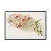 88289-531.jpg Dendrobium Phalænopsis by Frederick Sander Framed Canvas