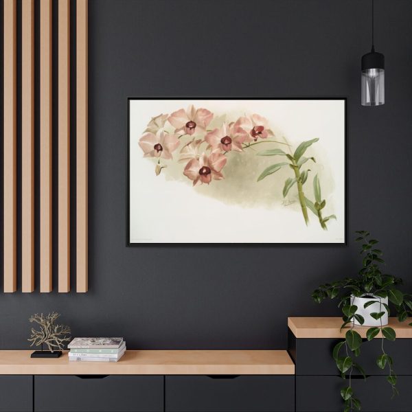 88289-534.jpg Dendrobium Phalænopsis by Frederick Sander Framed Canvas