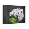 White Orchid Plant Framed Canvas
