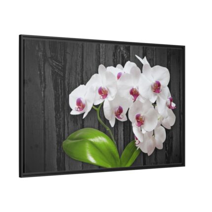 White Orchid Plant Framed Canvas