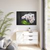 White Orchid Plant Framed Canvas