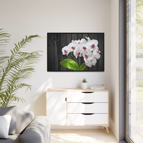 White Orchid Plant Framed Canvas