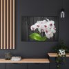 White Orchid Plant Framed Canvas