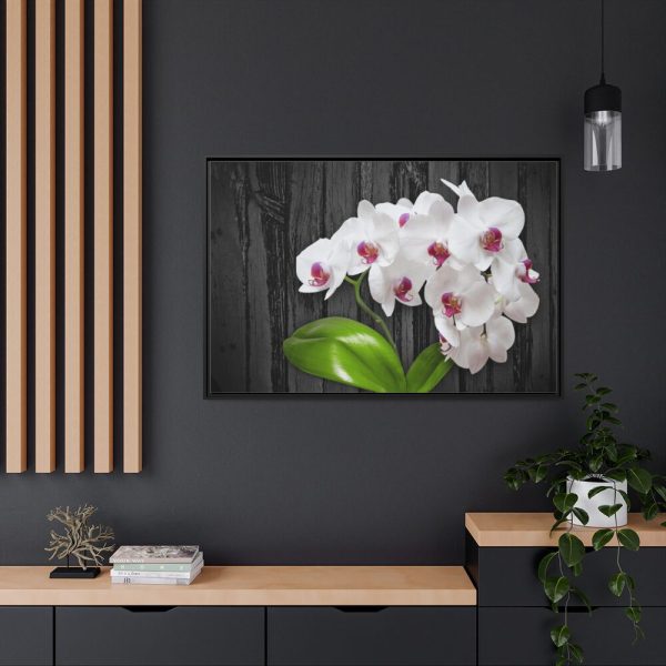 White Orchid Plant Framed Canvas