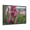 Orchid Cash Plant Framed Canvas