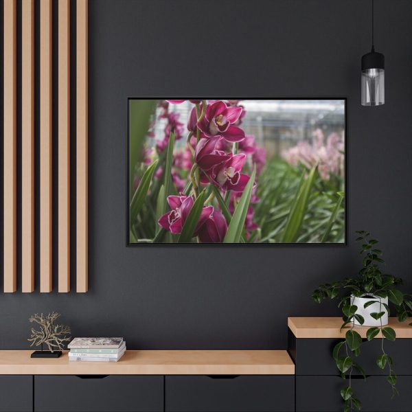 Orchid Cash Plant Framed Canvas