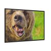 European Brown Bear Framed Canvas