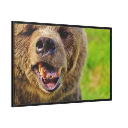 European Brown Bear Framed Canvas