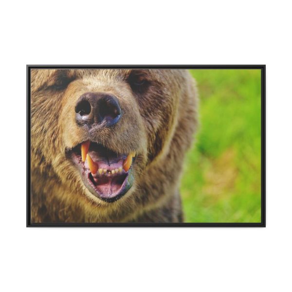 European Brown Bear Framed Canvas