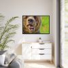 European Brown Bear Framed Canvas