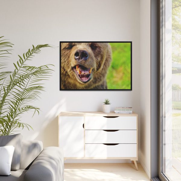 European Brown Bear Framed Canvas