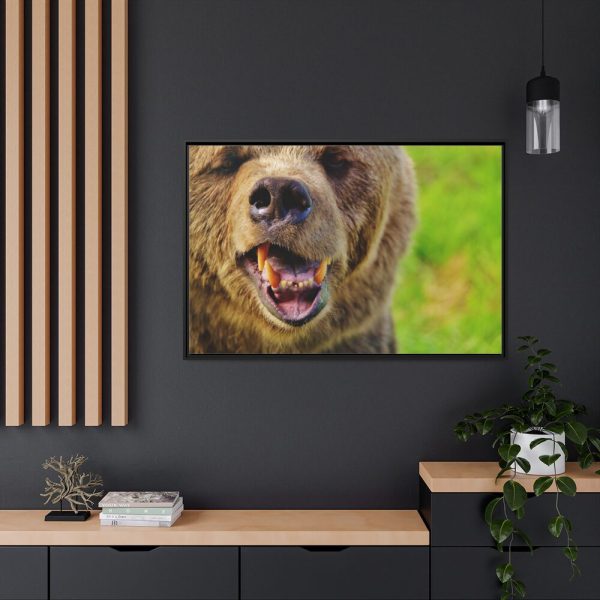 European Brown Bear Framed Canvas