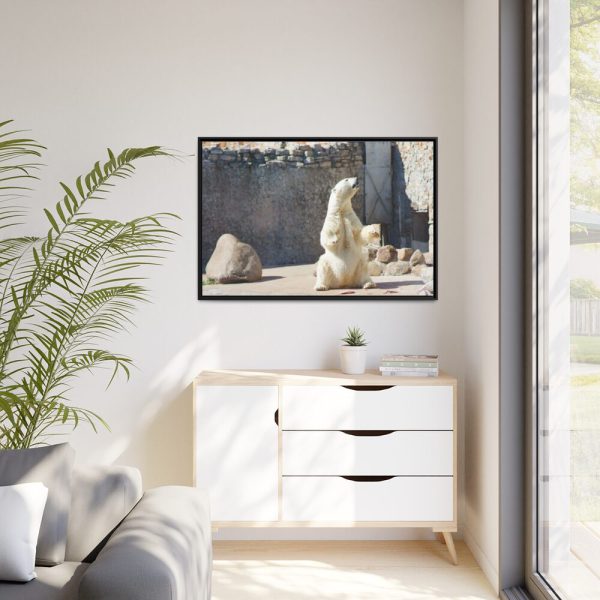 White Polar Bear Zoo Framed Canvas