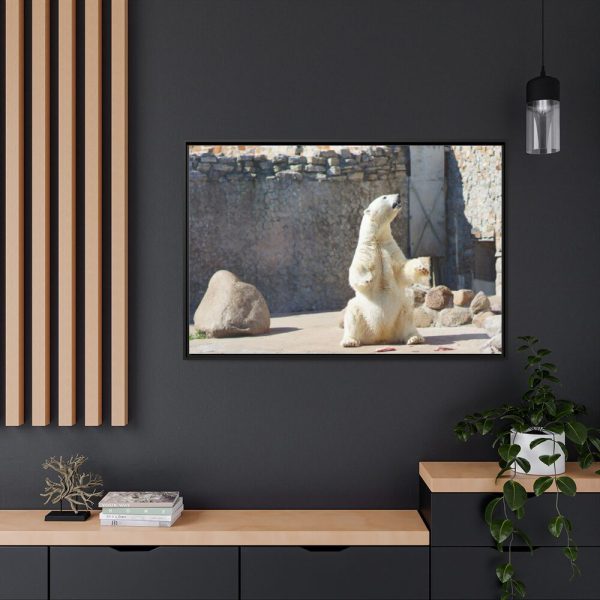 White Polar Bear Zoo Framed Canvas