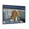 88289-555.jpg Wet Polar Bear Framed Canvas