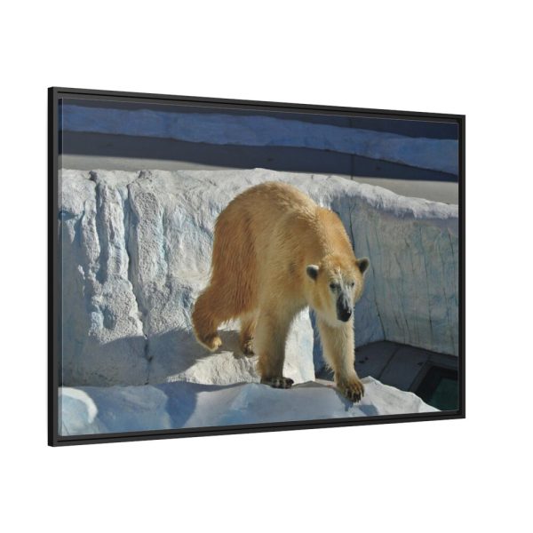 88289-555.jpg Wet Polar Bear Framed Canvas
