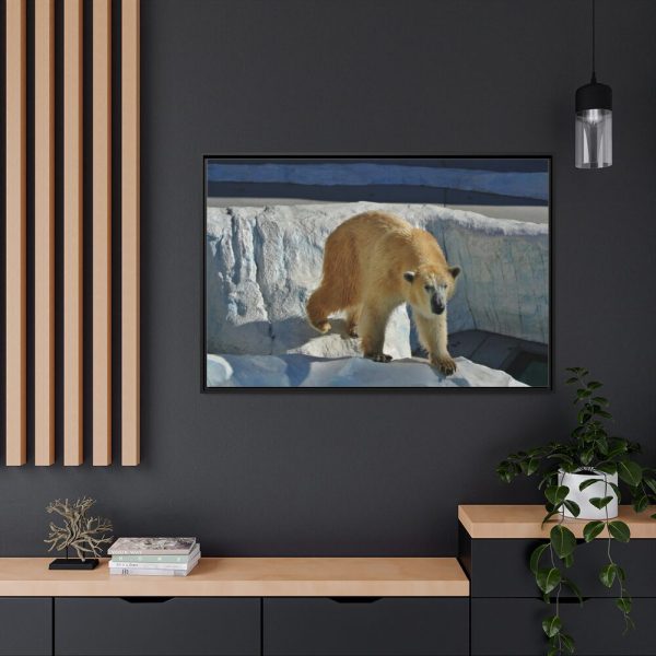 88289-559.jpg Wet Polar Bear Framed Canvas