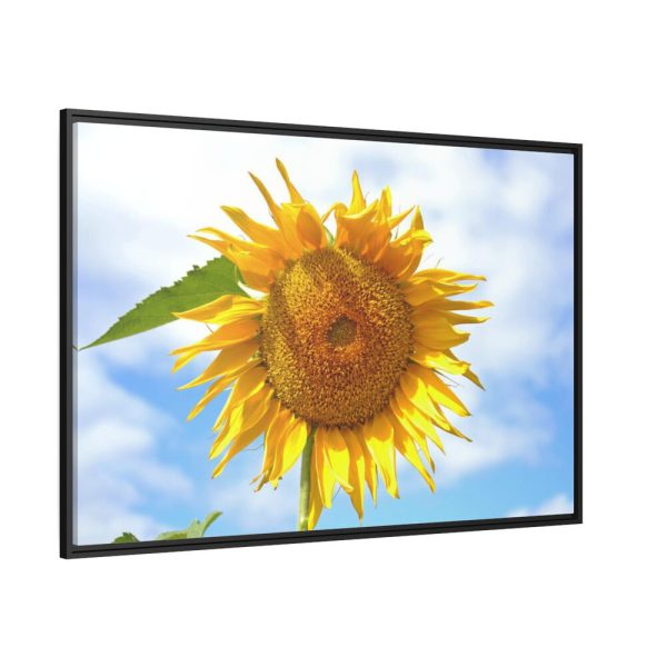 88289-56.jpg Sunflower with Blue Sky Framed Canvas