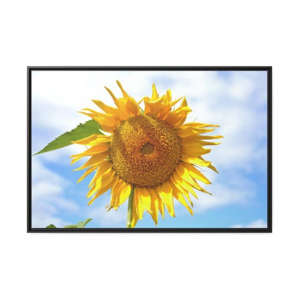 88289-57.jpg Sunflower with Blue Sky Framed Canvas