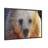 88289-570.jpg Syrian Bear Face Framed Canvas