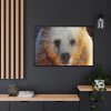 88289-574.jpg Syrian Bear Face Framed Canvas