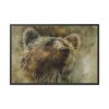 Grizzly Bear Kodiak Head Framed Canvas