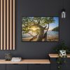 88289-589.jpg Sneaker Hanging from a Sand Beach Tree at Sunset Framed Canvas