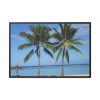88289-606.jpg Palm Tree on the Beach Framed Canvas