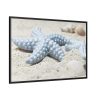 88289-640.jpg Starfish Framed Canvas