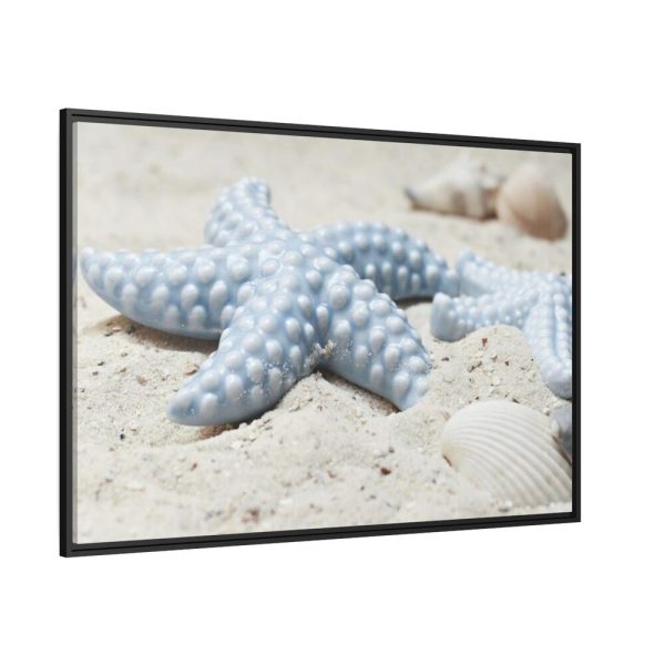88289-640.jpg Starfish Framed Canvas