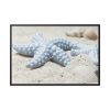 88289-641.jpg Starfish Framed Canvas