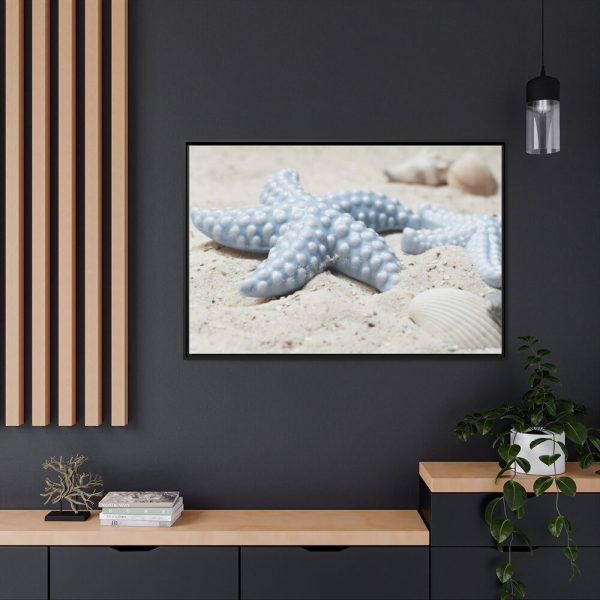 88289-644.jpg Starfish Framed Canvas