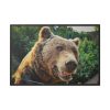 Grizzly Bear Snout Framed Canvas