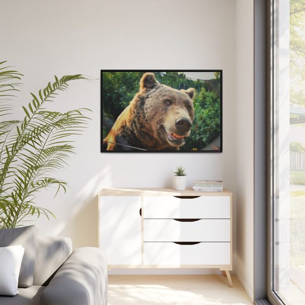 Grizzly Bear Snout Framed Canvas