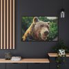 Grizzly Bear Snout Framed Canvas