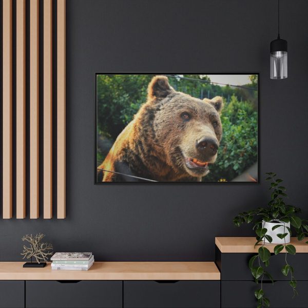 Grizzly Bear Snout Framed Canvas