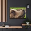 European Brown Bear Close up Framed Canvas