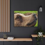 European Brown Bear Close up Framed Canvas - Image 5