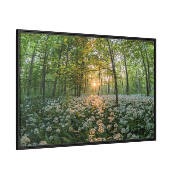88289-670.jpg Forest at Sunset with Bear's Garlic Framed Canvas
