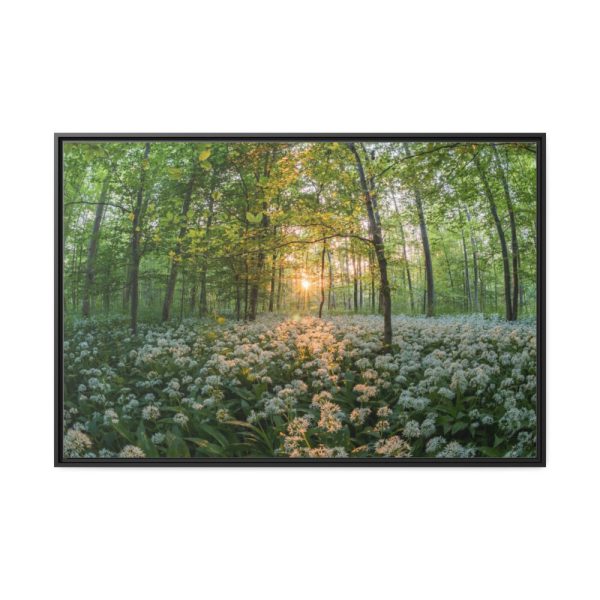88289-671.jpg Forest at Sunset with Bear's Garlic Framed Canvas