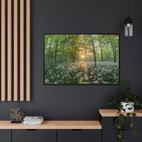 88289-674.jpg Forest at Sunset with Bear's Garlic Framed Canvas